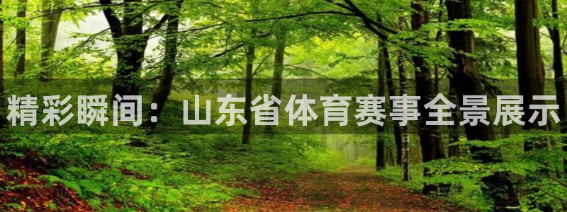 精彩瞬间：山东省体育赛事全景展示