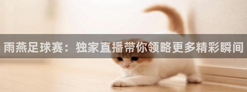 雨燕足球赛：独家直播带你领略更多精彩瞬间