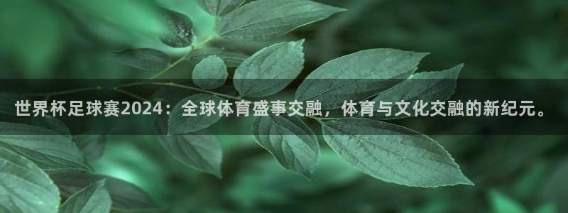 世界杯足球赛2024：全球体育盛事交融，