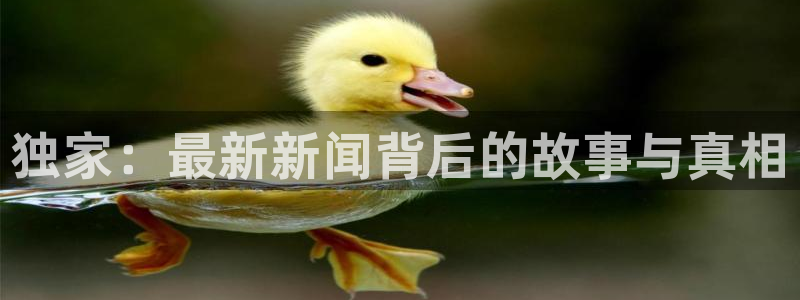 独家：最新新闻背后的故事与真相