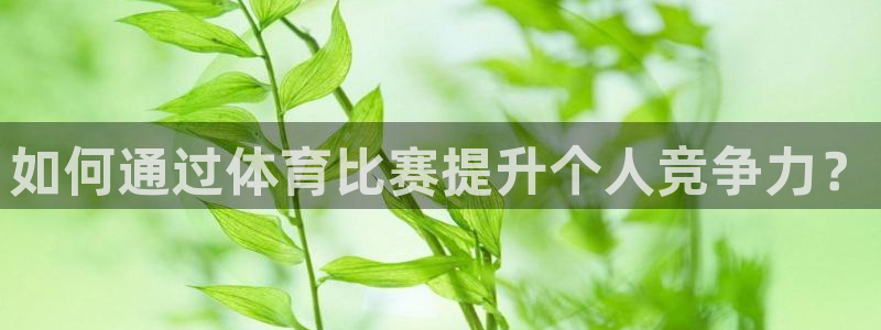 如何通过体育比赛提升个人竞争力？