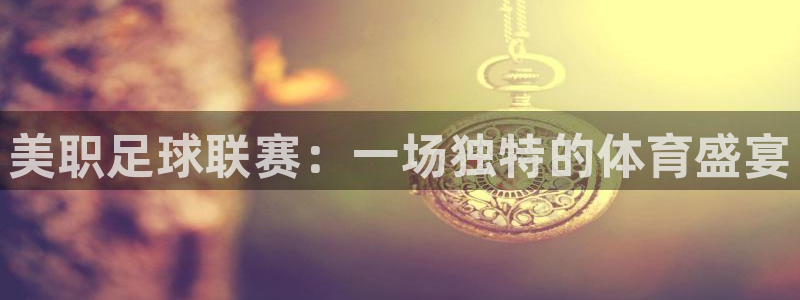 美职足球联赛：一场独特的体育盛宴