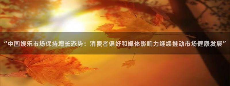 “中国娱乐市场保持增长态势：消费者偏好和